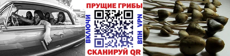 Галлюциногенные грибы ЛСД  кракен маркетплейс  Снежинск 